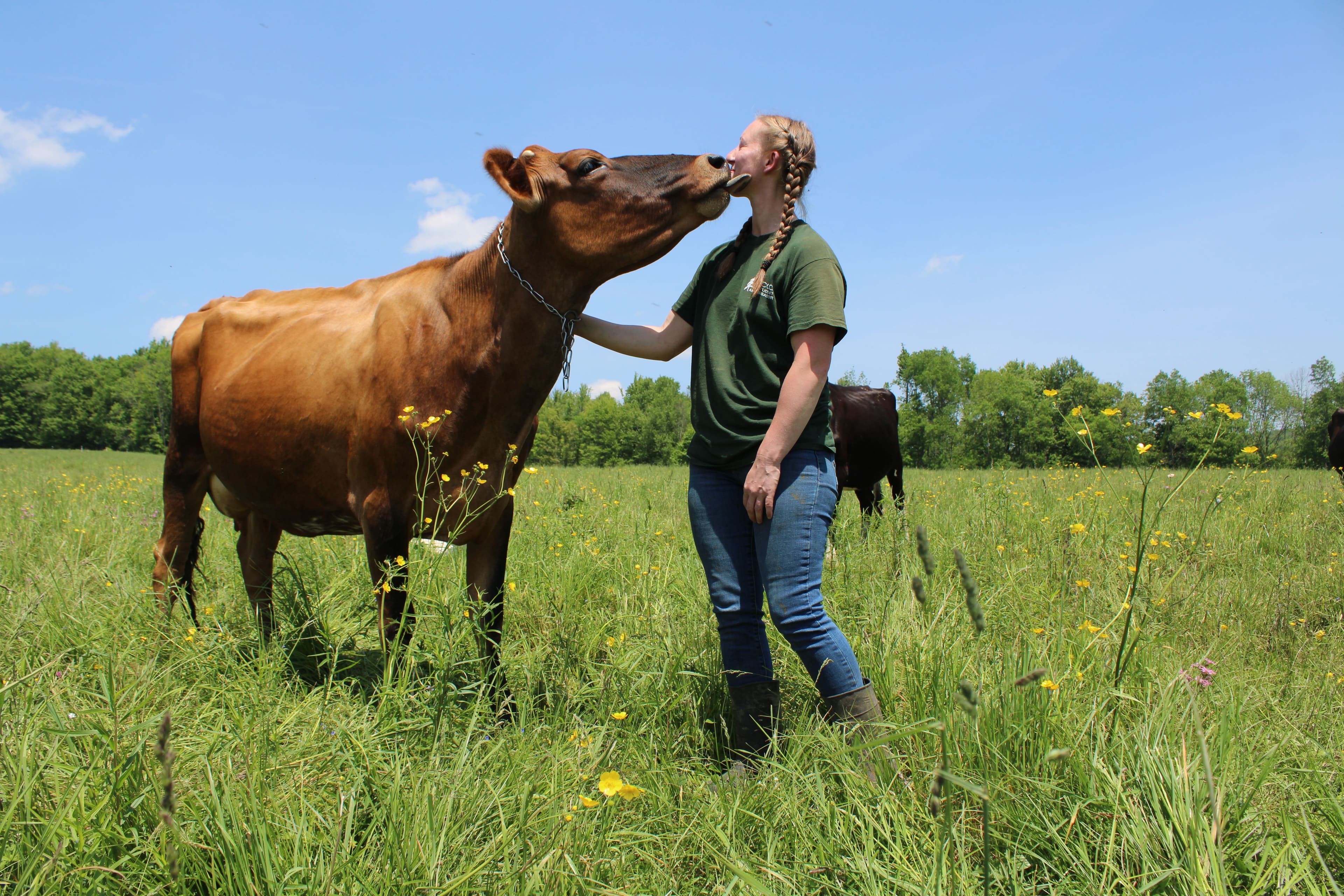 Organic Valley farmer in the pasture kissing a cow.